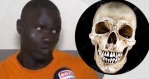 Forêt classée de Mbao : “Ay bopp niit lagnou deff si ayy sac… » Révélation de Bakary