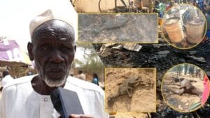 Incendie :  Ngomène se réveille dans la cendre… (Vidéo)