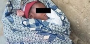 Horreur à Dalifort : Un fœtus retrouvé dans une fosse