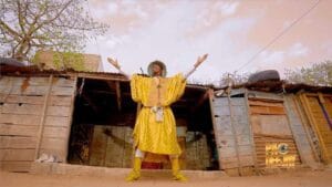 Musique : Kane Diallo Welma annonce une vidéo