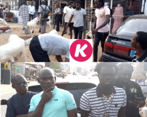 Le Faramarén Kéba Seck achète des moutons de Tabaski pour ses musiciens