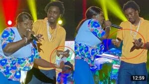 (Vidéo) : Après son show à Bercy, Ndiolé Tall explose la soirée de Wally Seck