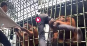 Voici les risques de jouer avec n&rsquo;importe quel animal. Regardez !