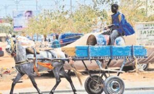 KOUNOUNE : Déféré au parquet, l&rsquo;élève de Cm2 déroule le meurtre du charretier