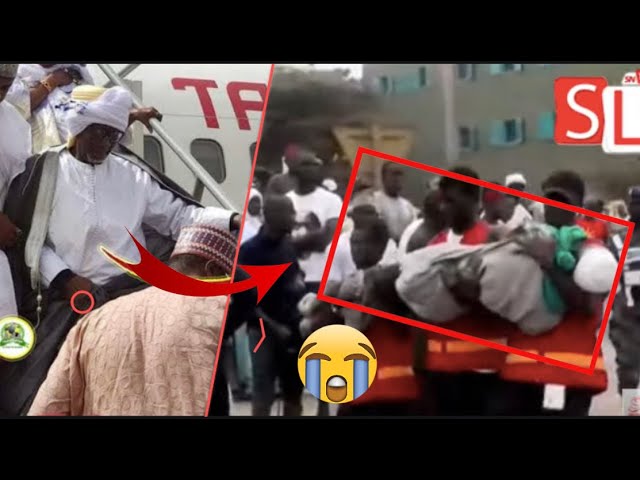 Accueil de Cheikh Mahi Niass : Des talibés en transe