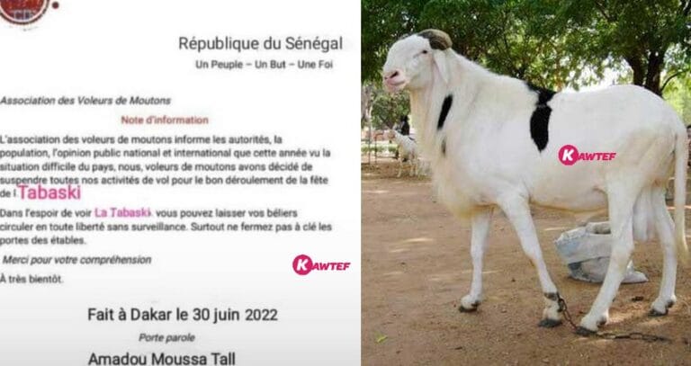L&rsquo;inspiration sénégalaise confirmée : ce communiqué de l&rsquo;« Association des Voleurs de Moutons » déchire la toile. Lisez !