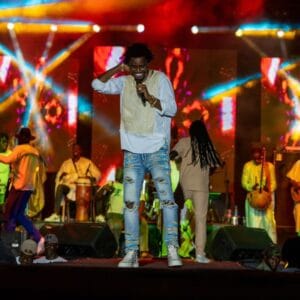 (04 photos) : Entre danses et hits, Wally Seck, as de scène