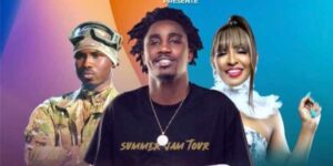 Le concert de Waly, Viviane et Dip annulé a cause de la pluie, des millions tombent dans l’eau