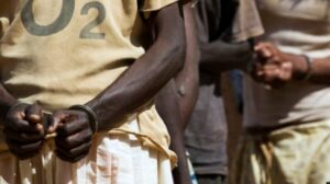 « Il nous conduit souvent à la plage pour nous violer… » : Récit de l’enfant victime 