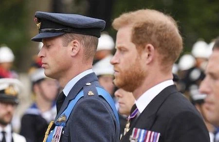 Funérailles d’Elisabeth II : William et Harry, deux frères liés par l’émotion 