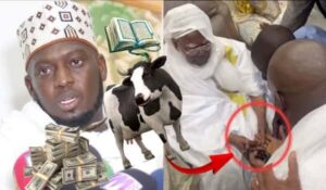 Les Téranga de Aziz Ndiaye au Khalif Général des Mourides : « Sougnou Thiofél Si Sérigne Touba Amoul Limite »