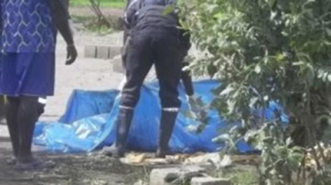 Elle tu& sa domestique et cache le corps dans un buisson 