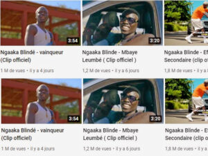 Tous les « Effects » de Ngaaka Blindé atteignent la barre du million de vues
