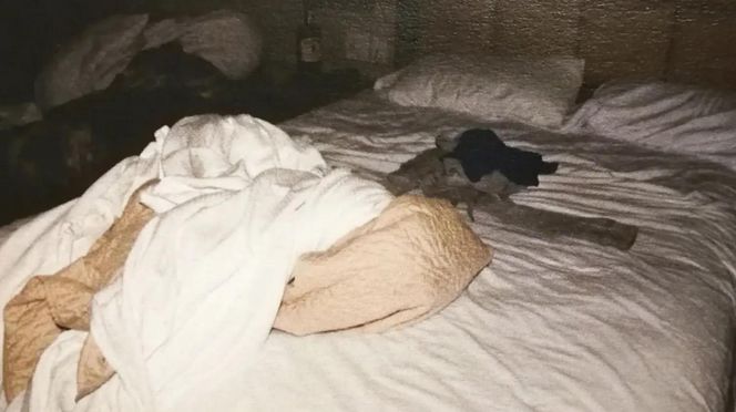 « J’ai été l’escl@ve s3xuelle de mon père avec qui j’ai eu… »