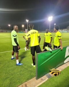 Q2022 : En images, la première séance d&rsquo;entraînement des Lions (Photos)