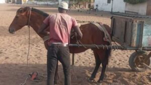 Touba : Après le décès de son père, le charretier a finalement hérité du cabinet paramédical.