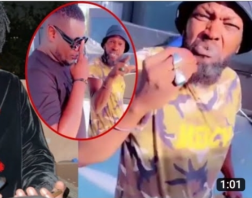 (Vidéo) – Don Diego à Matar Diop Subatel : « Do mafia, do nguisteul, lepp si souf ngakoy def… »