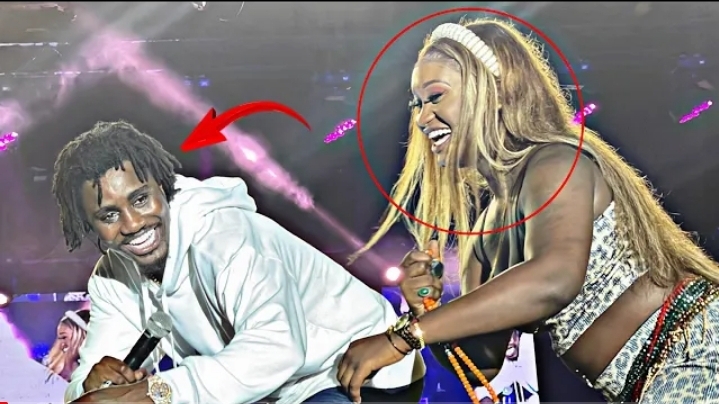 Concert Wally Seck à Guédiawaye: La danseuse Awa Banaya débarque avec ses « bines-bines »et choque le public