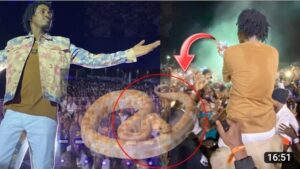 (Vidéo) – Gambie : Un serpent s&rsquo;invite à son concert. Découvrez la réaction de Wally Seck.