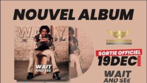 Wally Seck dévoile la pochette de son prochain album Wait and see
