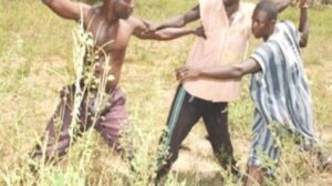 Une bagarre a viré au drame à Matam: Un cultivateur tu3 dans son champ, un berger arrêté