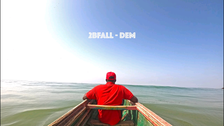 Découvrez le tout nouveau clip de 2Bfall « Dem »