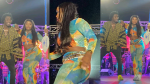 Chorégraphie : Wally Seck assure son show