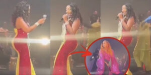 (Videos): Viviane Chidid explose son concert à l’Olympia de Paris