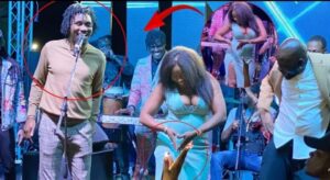 (Vidéo): Nouvelle danse de Wally seck : une nymphe débarque sur scène et attire les regards