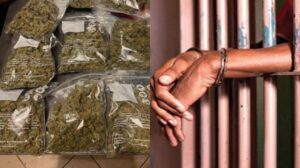 Mbour: Elle cache de la dr0gue pour son fils dans des sachets de café Touba