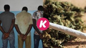 Kawtef: Une forte quantité de chanvre indien saisie avec un gang malien à Zac Mbao