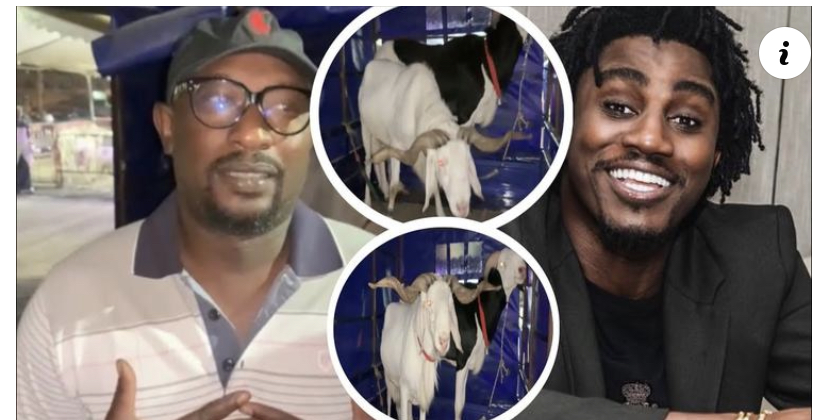 (Vidéo)- Wally Seck offre deux moutons et deux millions à Sidath Thioune