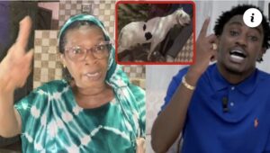 (Vidéo) – Salbé Ndom à Waly Seck: « Rewmi yafi geun, koula bagn… ».