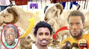 (Vidéo) – Tabaski: Wally Seck offre 2 moutons à Cheikh Amar.
