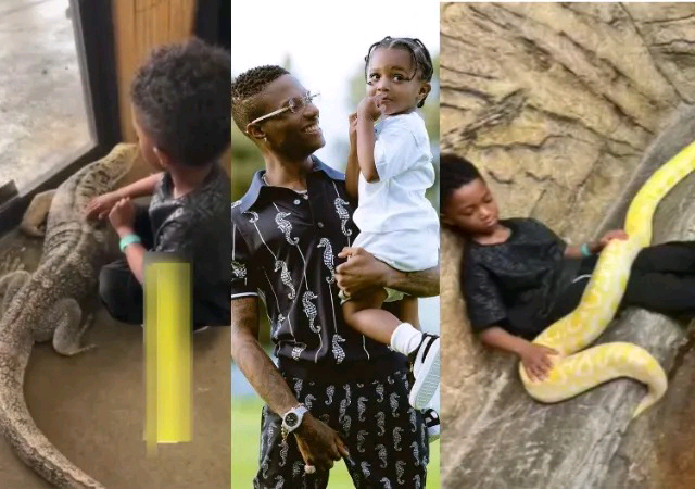 Le fils de Wizkid, Zion, s’amuse avec des reptiles terrifiants et mortels