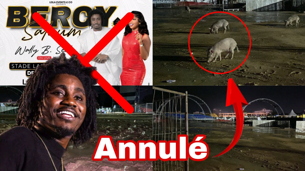 Bercy Saloum 2023 : Wally Seck, concert chahuté par la pluie