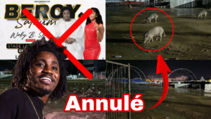 Bercy Saloum 2023 : Wally Seck, concert chahuté par la pluie
