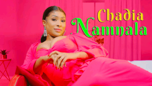 Bin-bin, béthio, chemise de nuit… Chadia dévoile le clip hot de « Namanala »