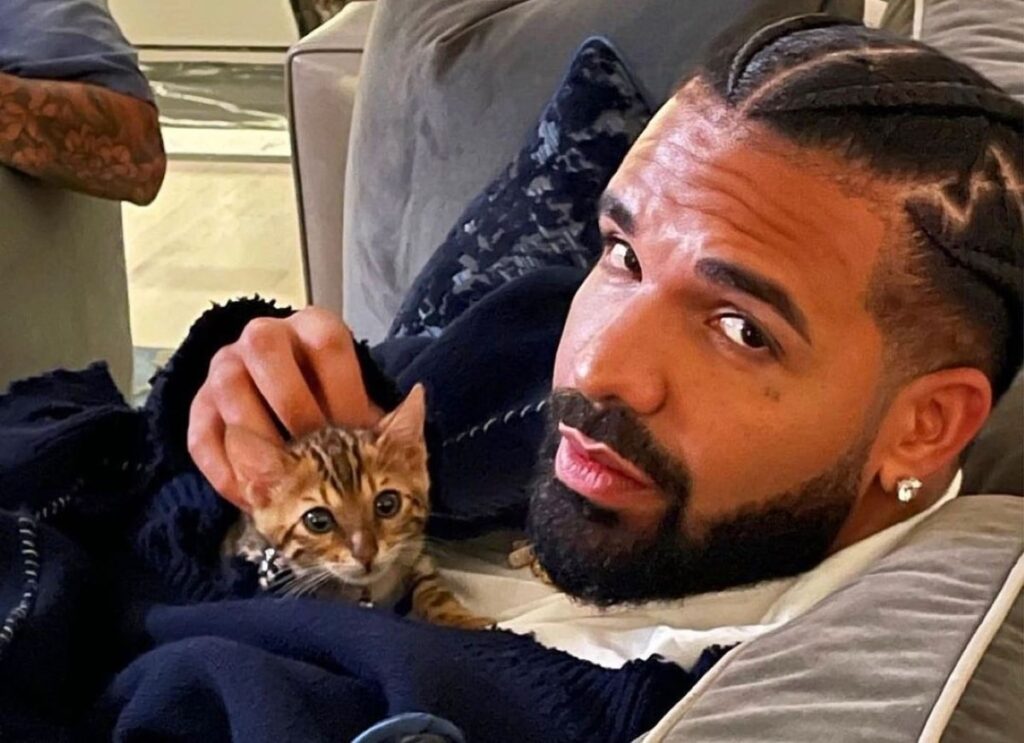 Drake et sa collection insolite de soutien-gorges : la folie des fans en concert