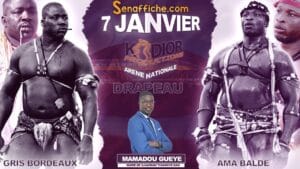 Lutte avec frappe : Le combat Gris Bordeaux-Ama Baldé ficelé