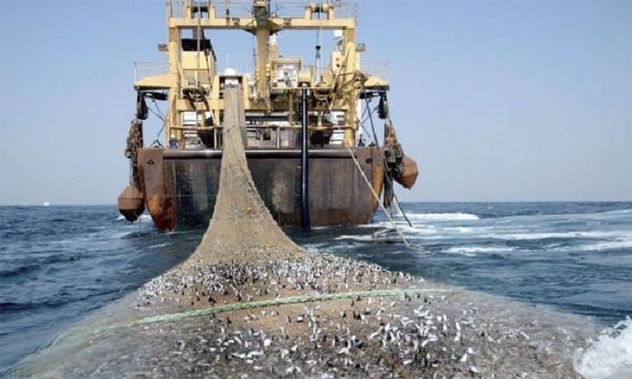 Poissons : Voici les navires autorisés à pêcher dans les eaux sénégalaises à la date du 2 mai 2024