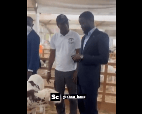 Tabaski : Diomaye Faye marchandant 2 béliers pour la fête (vidéo)
