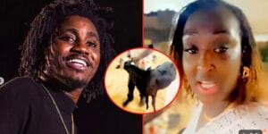 (Vidéo) – Tabaski 2024 : Wally Seck offre un mouton à Pendo…