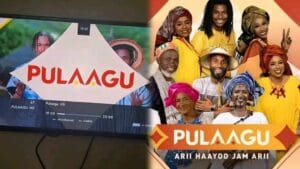 Le Burkina suspend Pulaagu, la nouvelle chaîne de Canal+ en pulaar et Mandeka