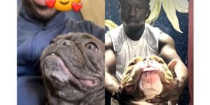 Incroyable: Un Sénégalais vend son ch!en à 16millions de fcfa