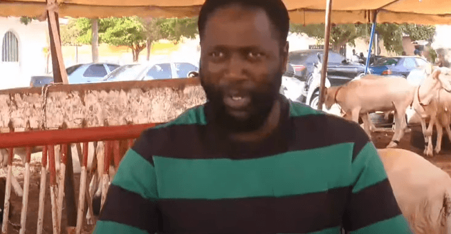 (Vidéo) : Kilifeu, vendeur de moutons : « Sonko dieund na khar bouy diar… »