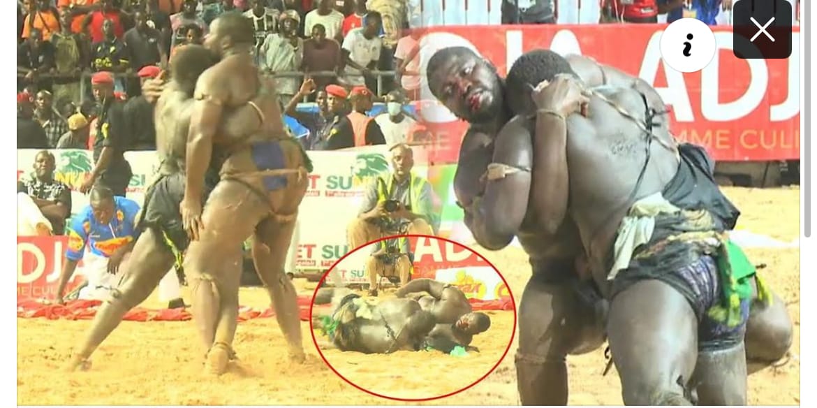 Lutte – Balla Gaye terrasse Tapha Tine. Regardez la chute