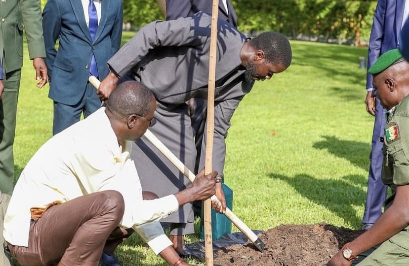 Journée nationale de l’arbre : L’appel du président Bassirou Diomaye Faye…