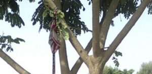 Linguère : Un homme de 35 ans porté disparu, retrouvé pęndu…