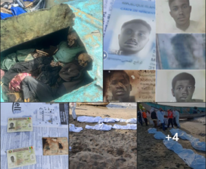 Dr@me : Une pirogue de 14 personnes échoue en République Dominicaine